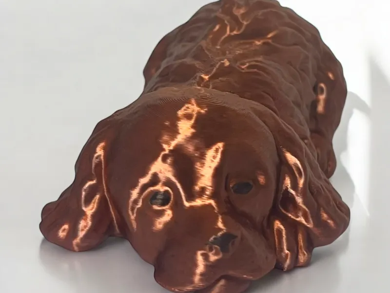 Schlafender Cocker Spaniel