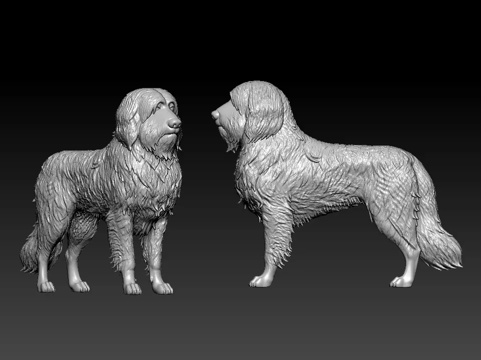 Bearded Collie - Mountain Collie model - 3D print