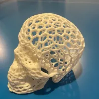 Voronoi-style Skull with no supports-3