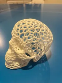 Voronoi-style Skull with no supports-3