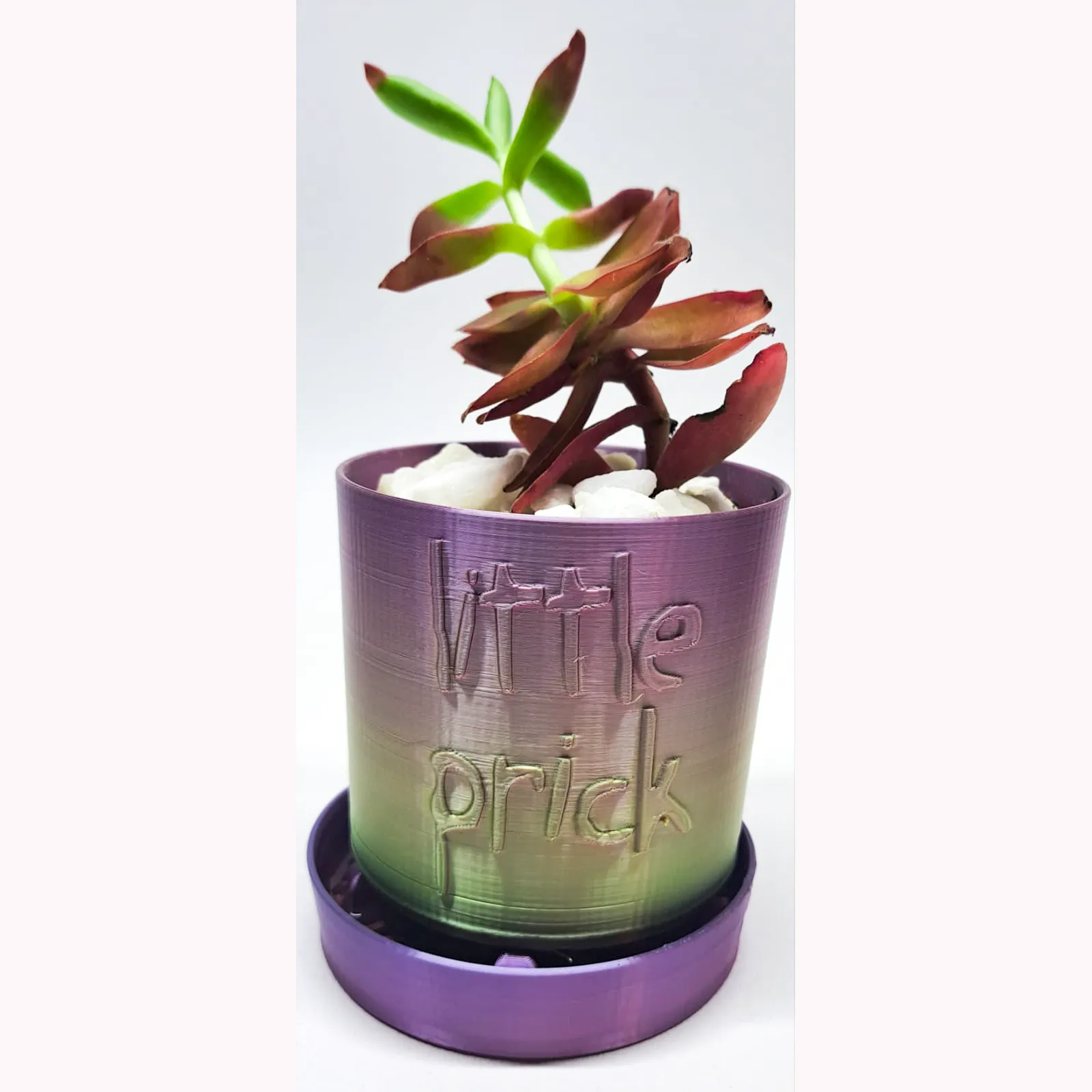 Punny Planter 03 - Little Prick