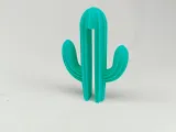 Cactus Glass Partition Hook-5