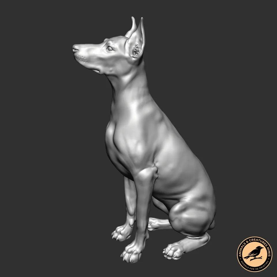 Doberman
