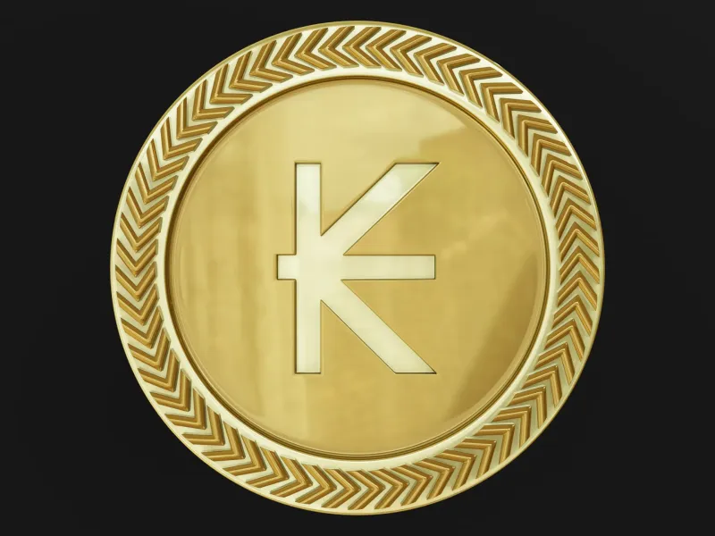 moneda kip