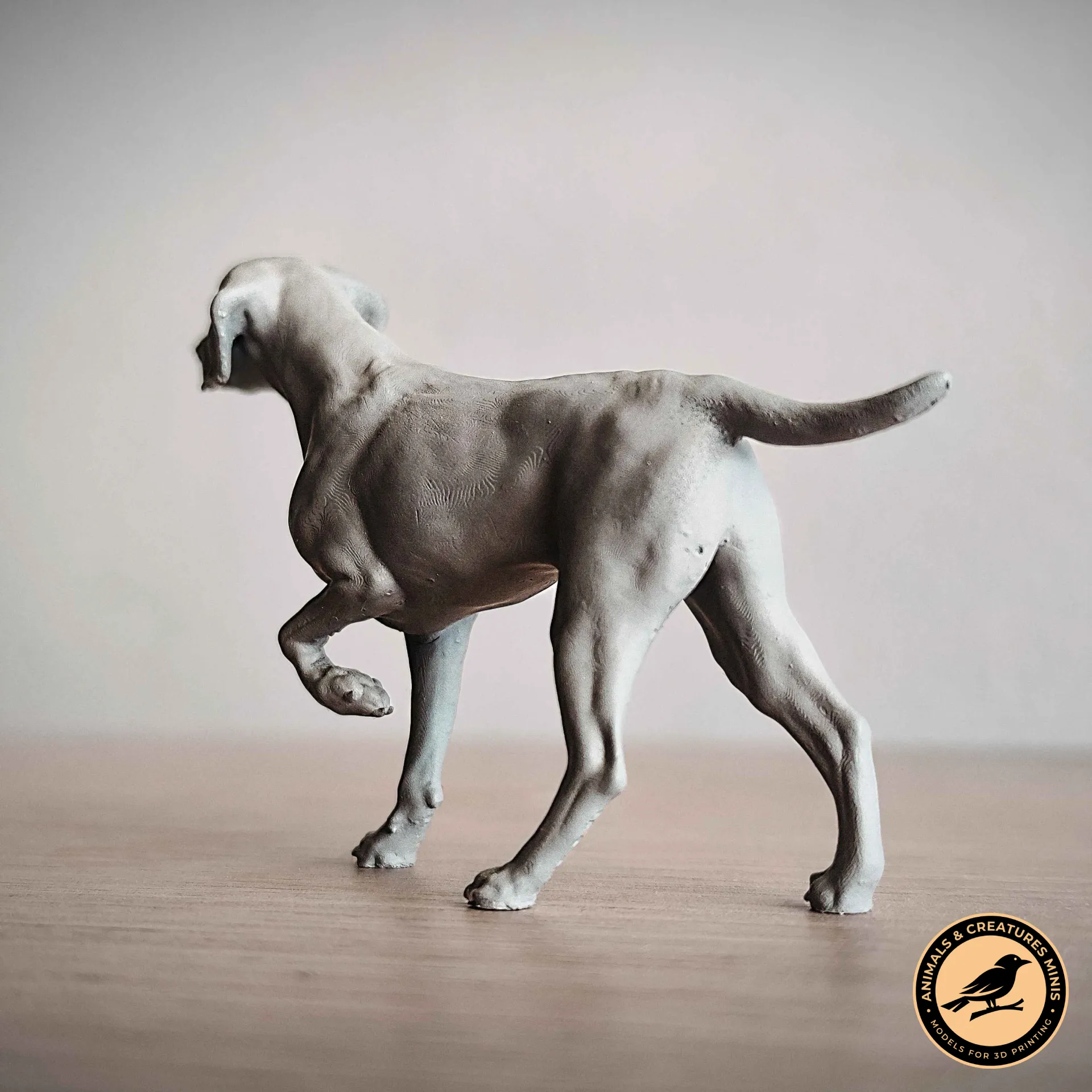 German Shorthaired Pointer