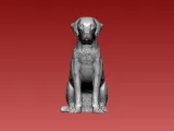 Greyhound - Boerboel Dog - 3D print-2