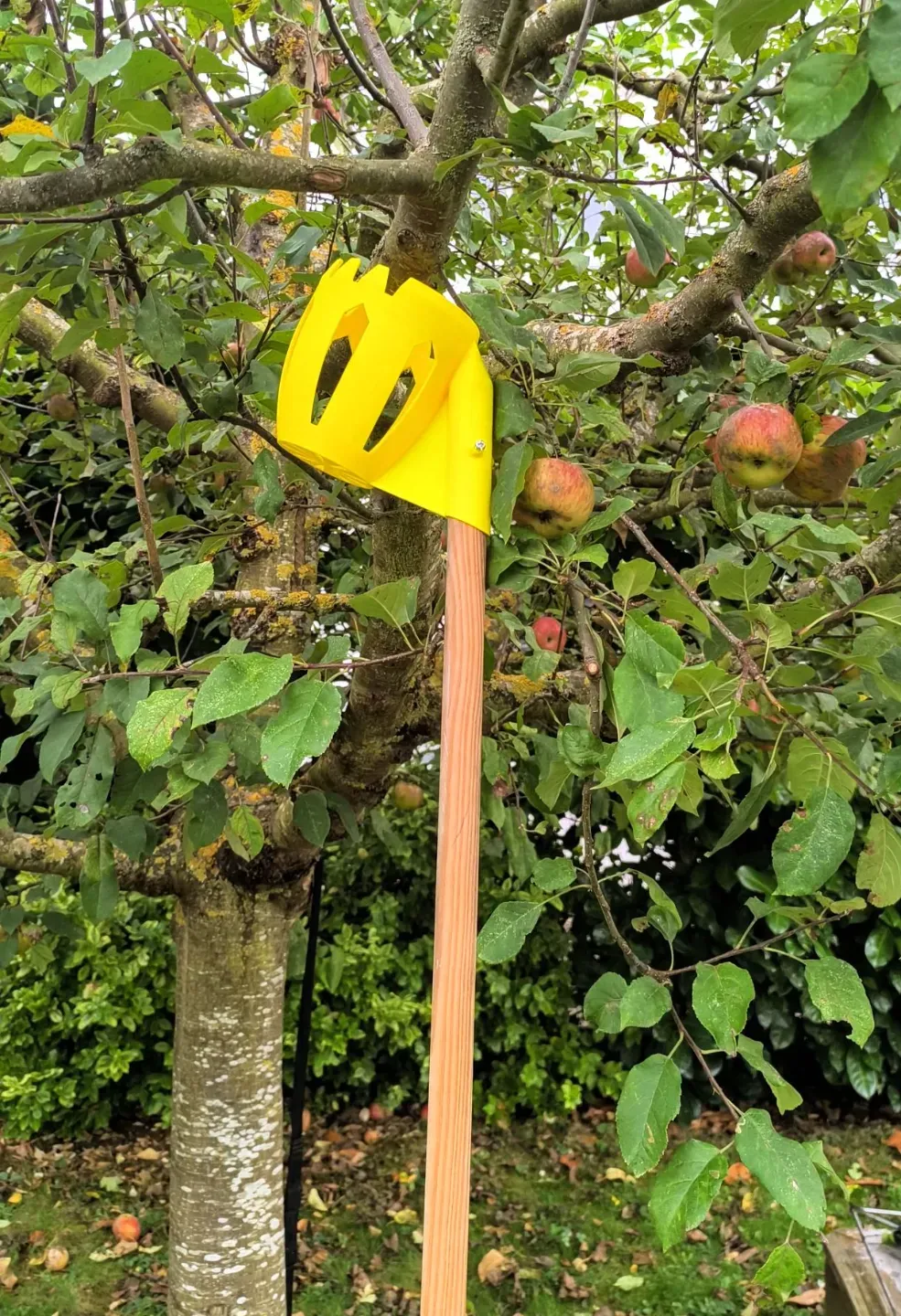 Fruit Picker - Apple Grabber