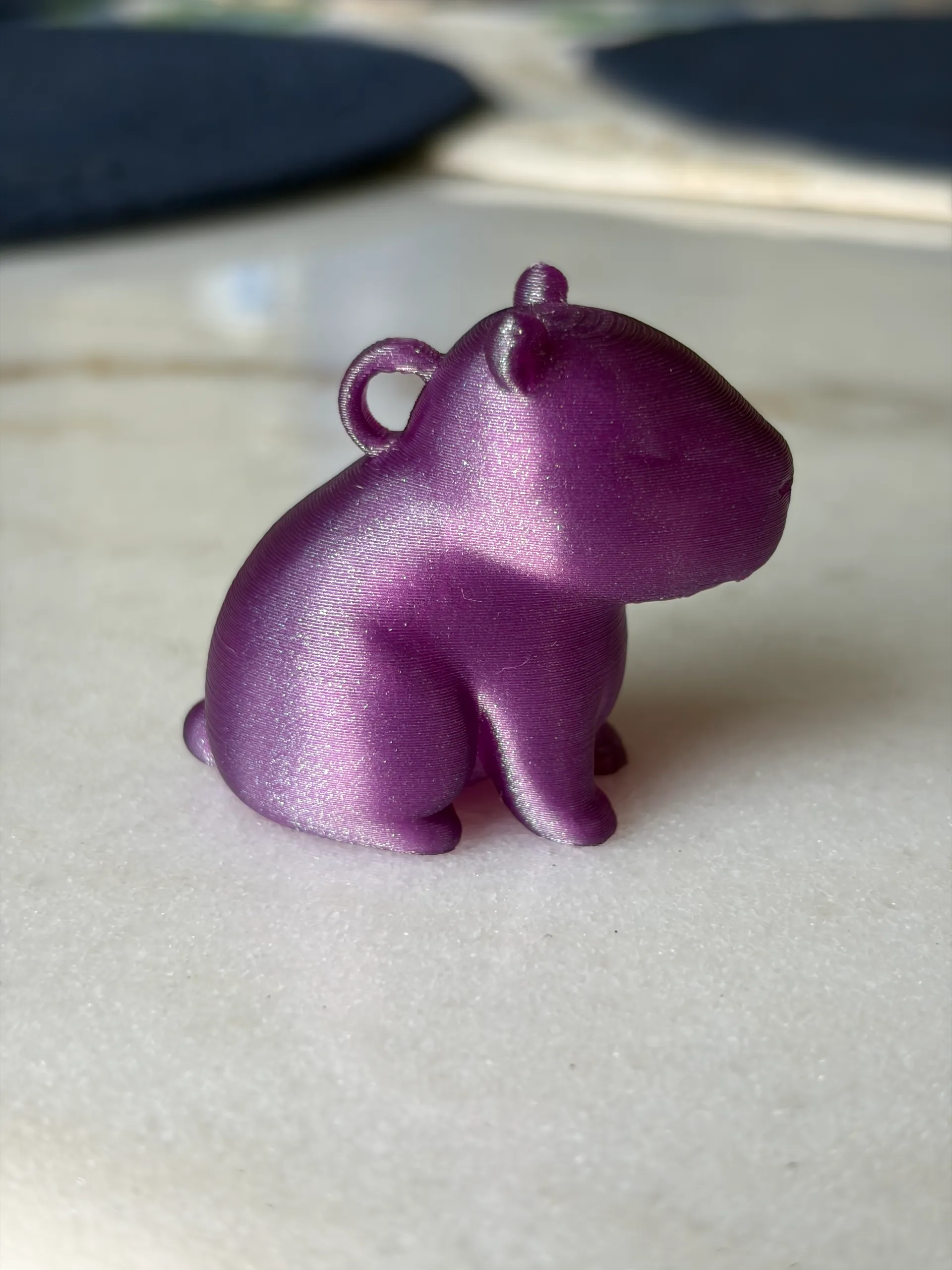 Cute Capybara-1
