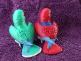 Eclectus-3