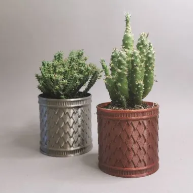 DRAGON SCALES POT-0