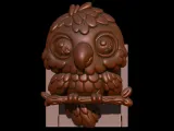 Extendable Parrot Book shelf End-5