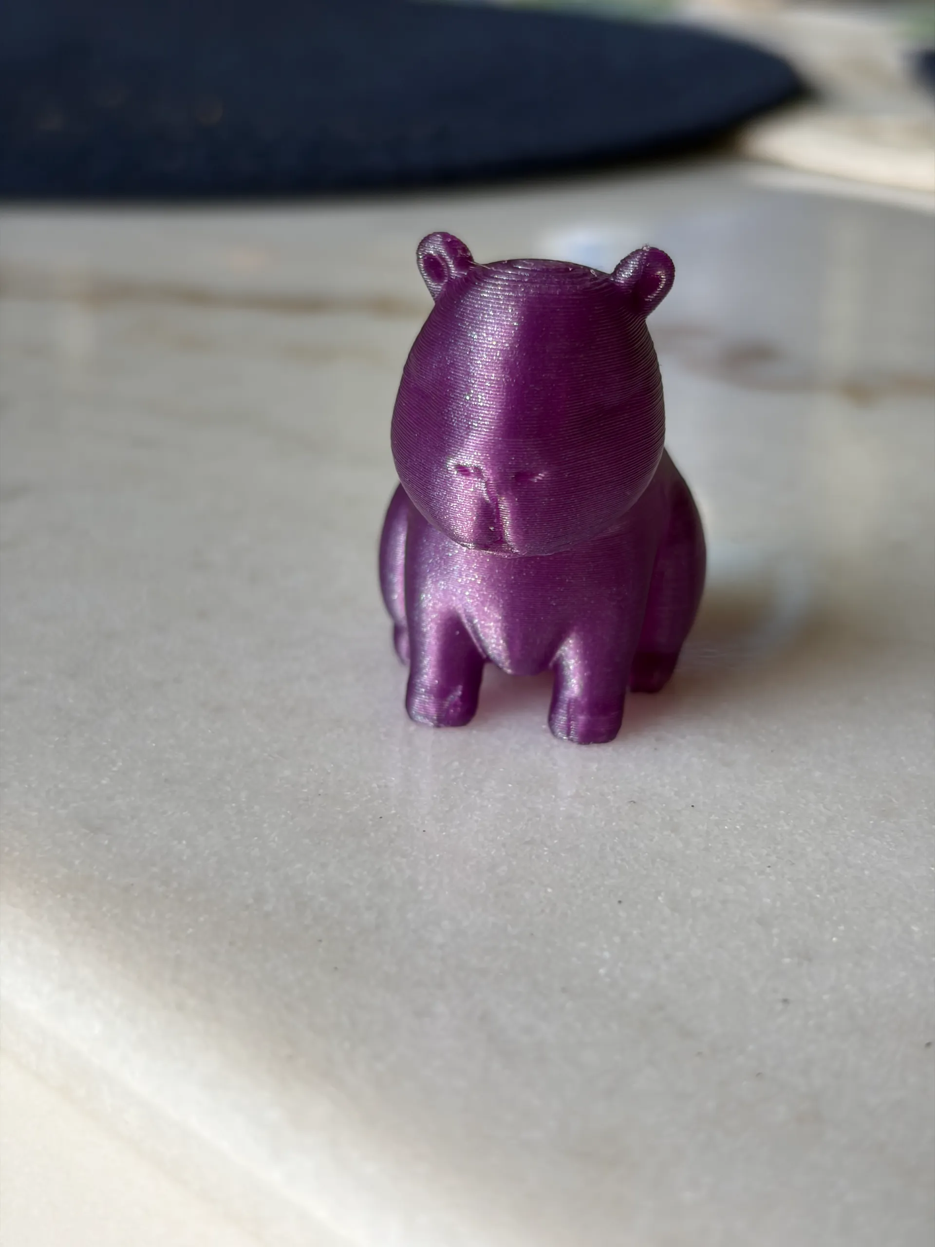 Cute Capybara-0
