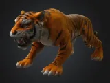 Tigre-0