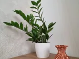 Spiral Vase-1