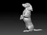 Dachshund Dog standing statue - Dachshund model - 3D print-2