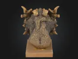 Dragon head unfo-1