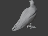 Gull-2