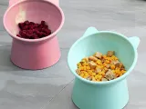 Cat Shape Pet Bowl,Elevated Tilted,Pet Decor Functional Bowl-4
