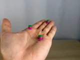 Mini Raspberry Buddy-1