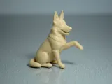 German Shepherd-2
