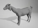 goat 03-0