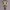 Funko Funko Schotse