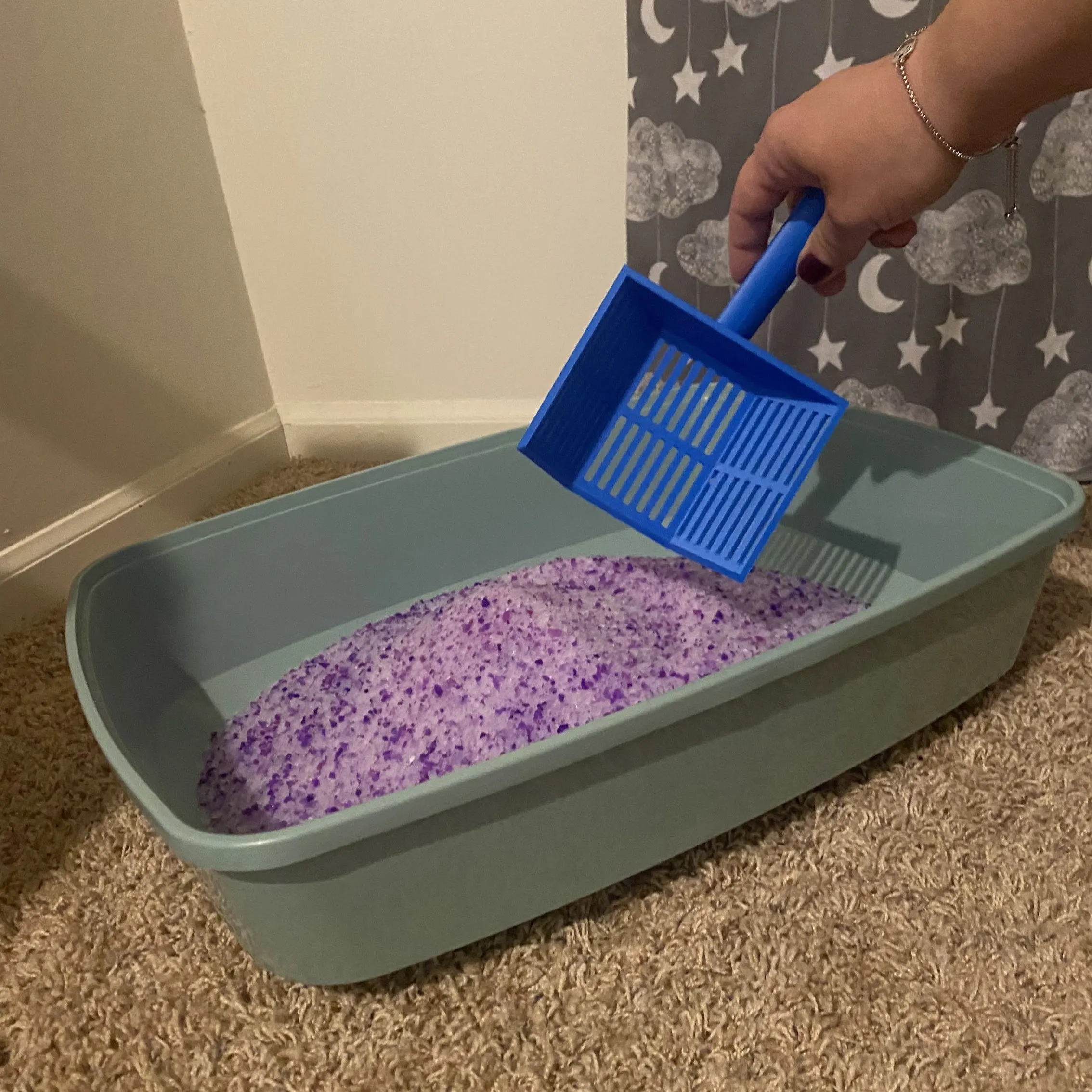 Simple Cat Litter Scoop and Tray