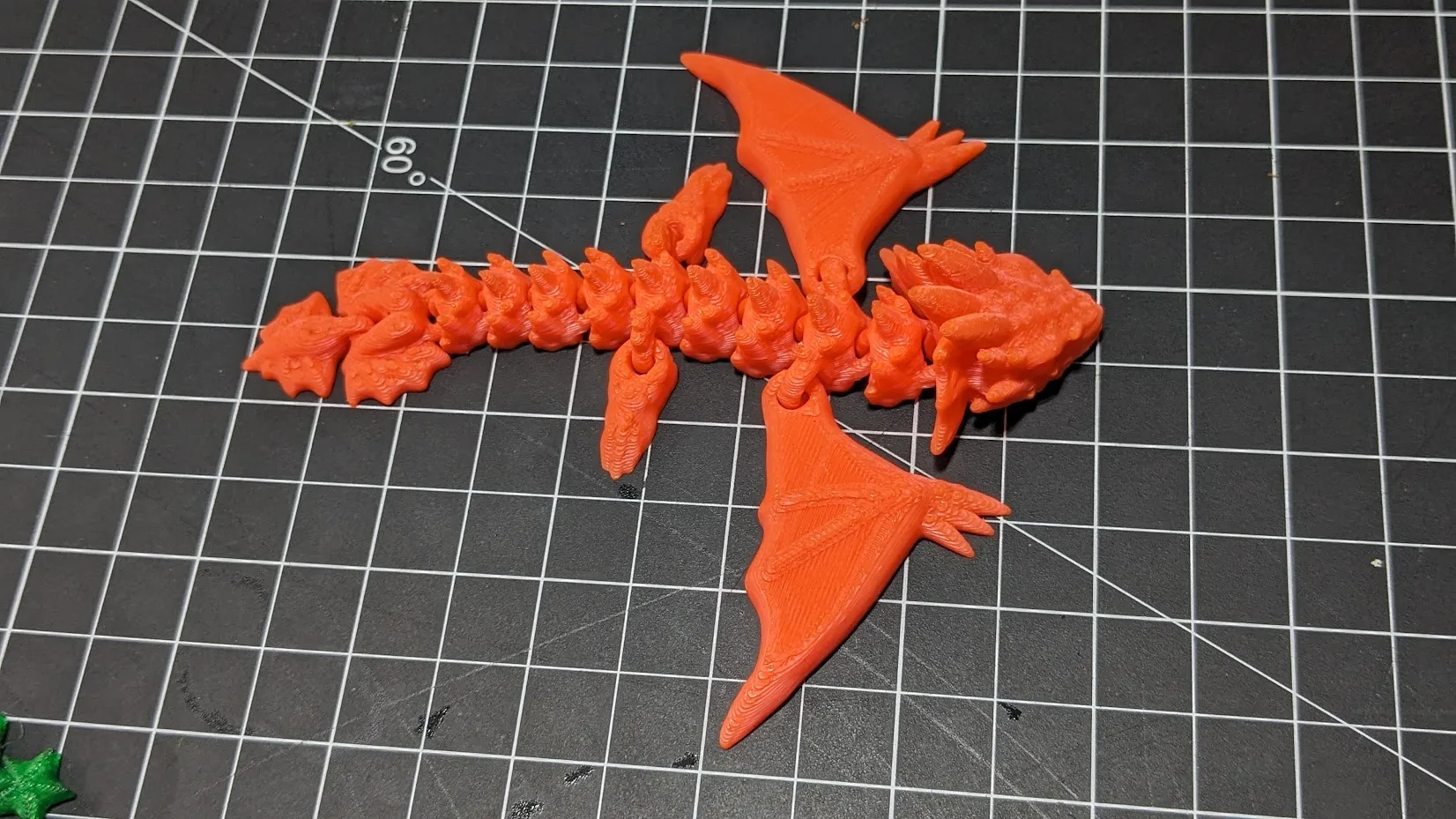 Amphiptere Flexible Baby Dragon-1
