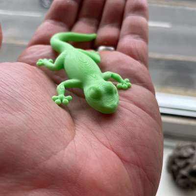 Gecko Fridge Magnet 3d model