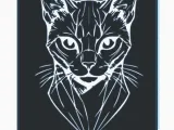 Cat plate-2