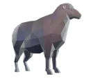 Low Poly Sheep-3