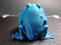 Frog keeps jewelry (not support)-8