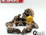 Flexi Skeleton-4