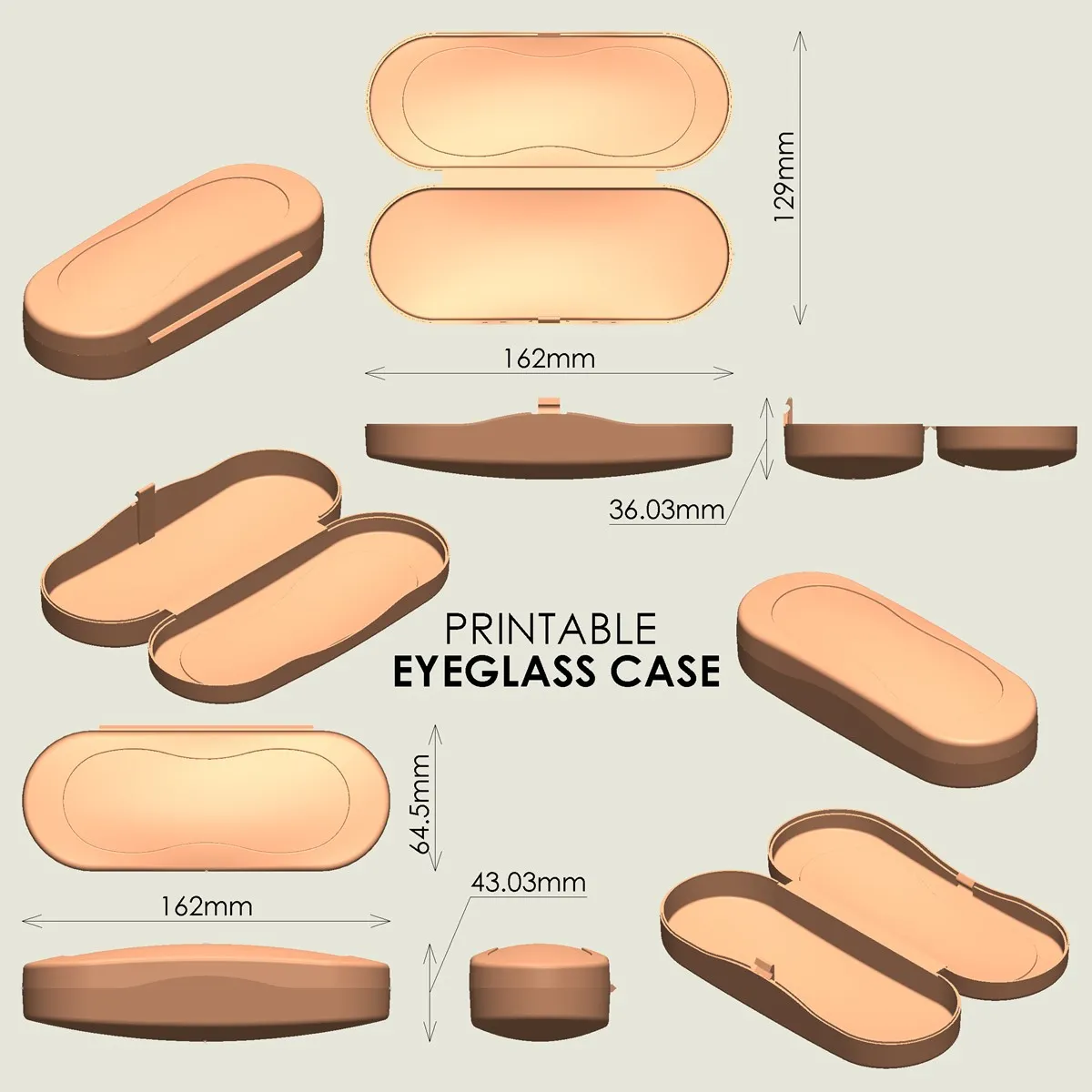 Glasses Case