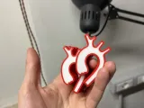 Magneti Aorta-7