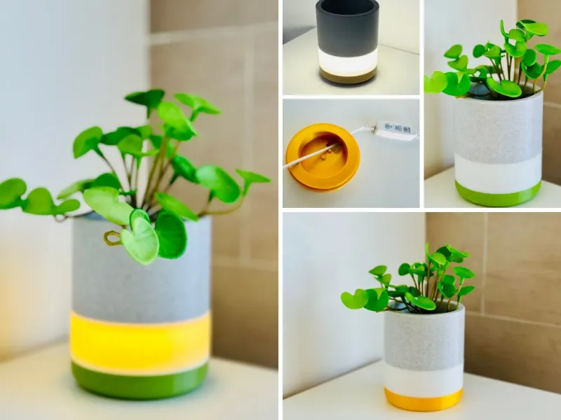 Illuminated planter - Plant pot/vase with built-in LED light