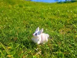 Flexi Easter Bunny-2