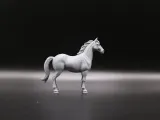 馬-2