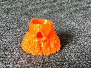 Skull Holder