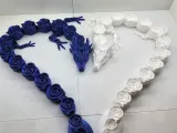 Rose Dragon-1