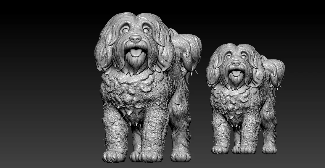 Havanese Cuban Bichon Dog model - 3D print