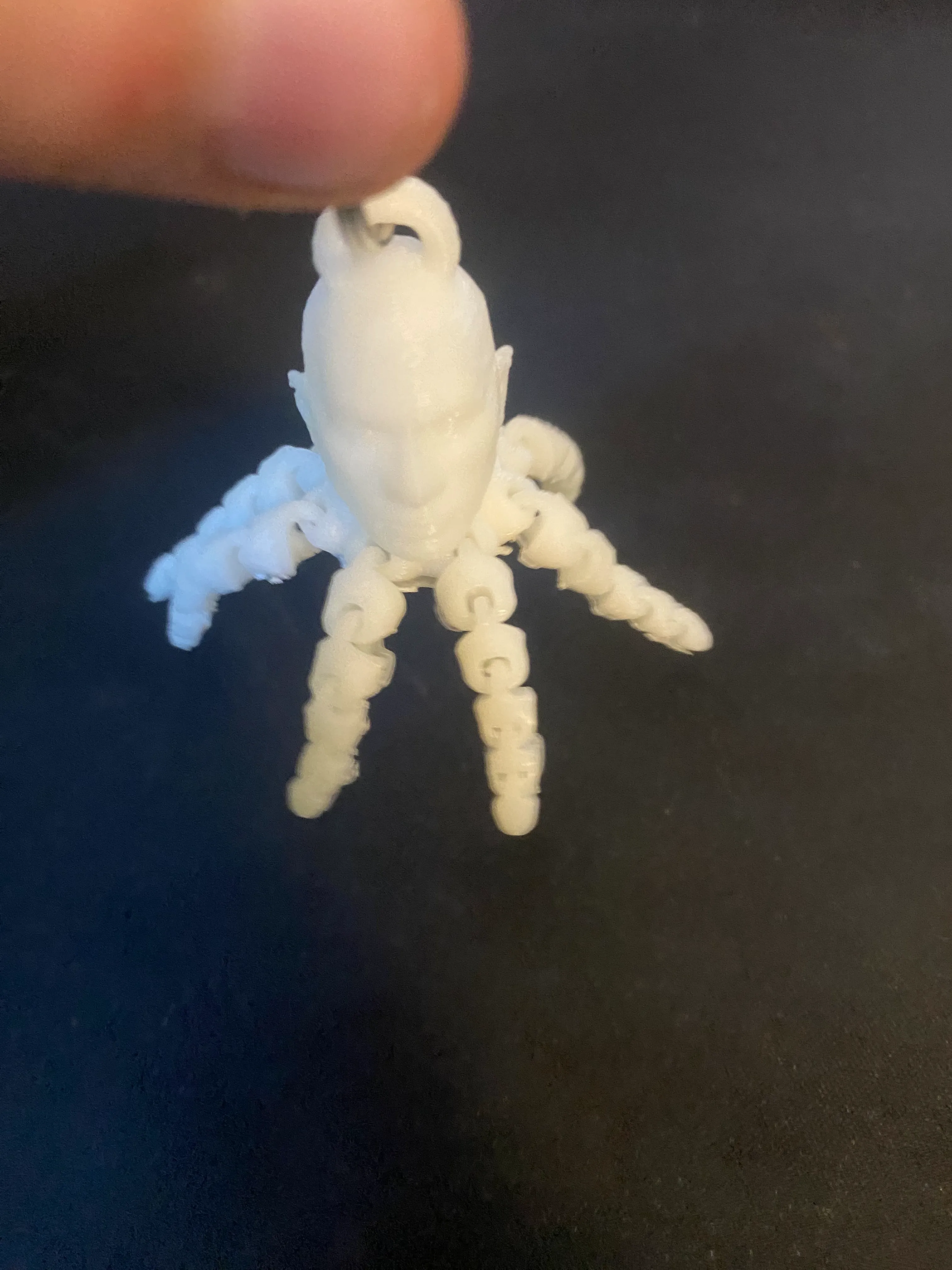 Rocktopus with mounting-hole