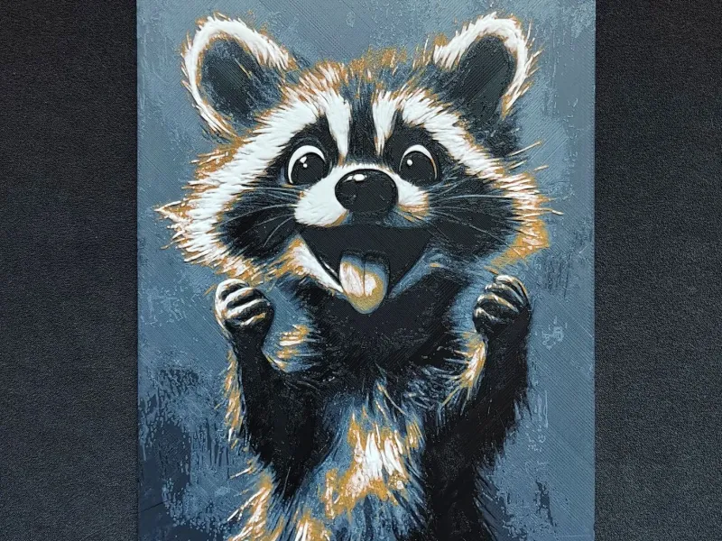 Racoon