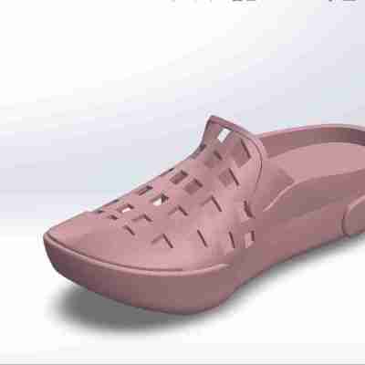 Flip Flop