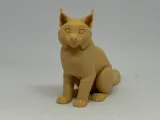 猞猁-2