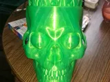 Cool Skull Full Size-5