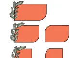 Medium Plain-1