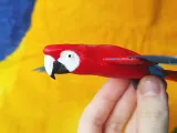 Flying Macaw-4