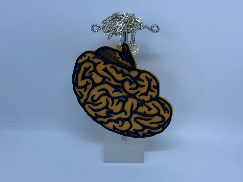 Brains