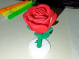 Rosa con base para San Valentin-1